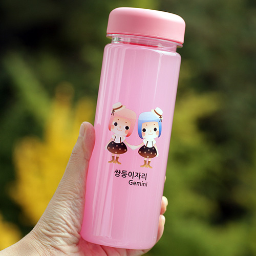 쌍둥이 자리